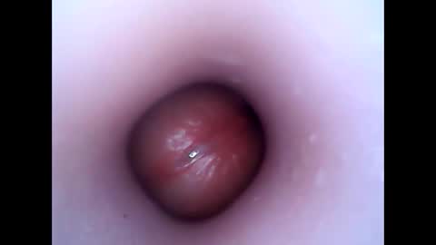 hardhammerboy online show from December 26, 2024, 7:49 pm