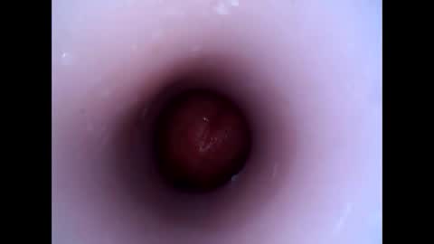 hardhammerboy online show from December 29, 2024, 8:26 pm