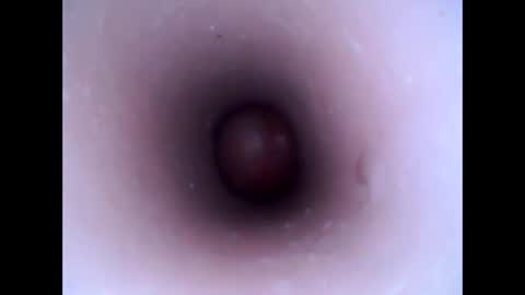 hardhammerboy online show from January 20, 2025, 3:28 pm