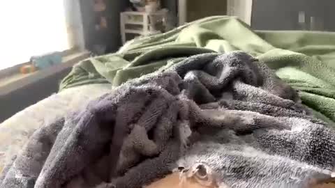 Snapshot of hardnthickm55 chatting on February 14, 2025, 6:51 pm hardnthickm55 online show from February 14, 2025, 6:51 pm