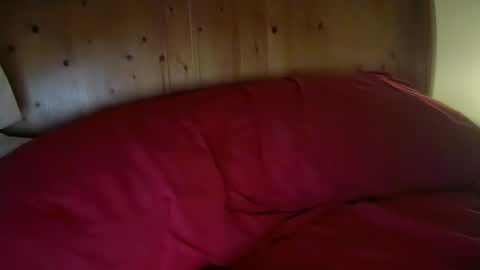 Harry H online show from January 13, 2026, 1:38 pm