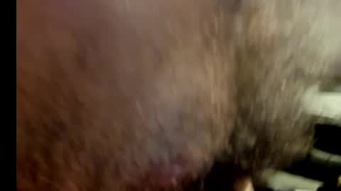 Snapshot of harry_banana chatting on January 17, 2025, 10:56 pm harry_banana online show from January 17, 2025, 10:56 pm