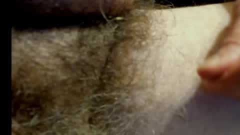 Snapshot of harry_banana chatting on January 20, 2025, 11:10 pm harry_banana online show from January 20, 2025, 11:10 pm