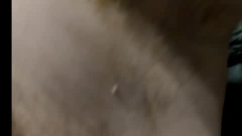 Snapshot of harry_banana chatting on January 27, 2025, 8:29 am harry_banana online show from January 27, 2025, 8:29 am