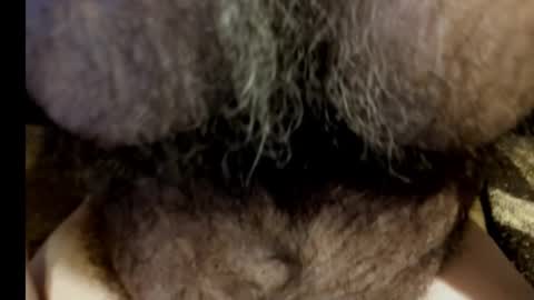 Snapshot of harry_banana chatting on March 8, 2025, 8:55 am harry_banana online show from March 8, 2025, 8:55 am