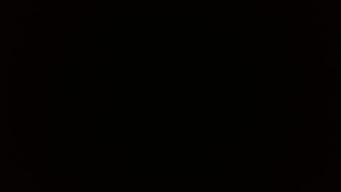 Snapshot of harry_reems_ chatting on February 16, 2026, 4:30 am OMAR online show from February 16, 2026, 4:30 am