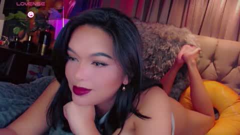 HAYFA online show from November 11, 2025, 6:35 am