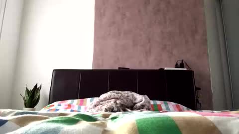 Hayle online show from October 22, 2025, 8:36 am