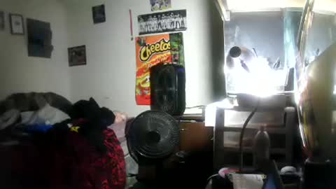 hbdj2164 online show from January 18, 2026, 5:44 am