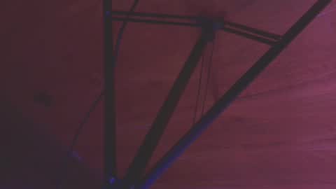    online show from October 29, 2025, 12:51 pm