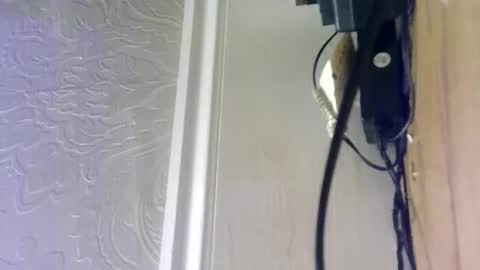 hellobunbunx0 online show from December 27, 2024, 4:43 pm