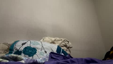 hellokitten123 online show from January 28, 2025, 9:40 pm