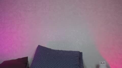 Snapshot of hesssa chatting on December 28, 2024, 3:04 pm Hesssa Prime time  The broadcasts start at 3am and 3 pm London time  online show from December 28, 2024, 3:04 pm