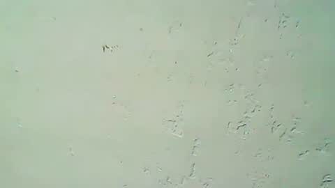 hhhjnf1 online show from September 20, 2025, 3:07 am