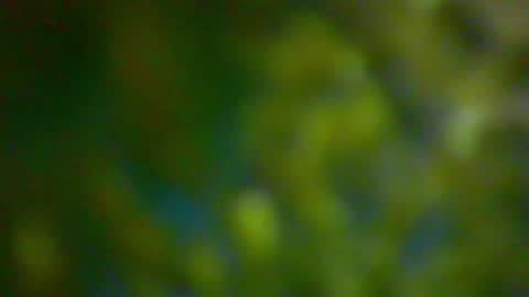 hhhjnf1 online show from October 6, 2025, 6:16 pm