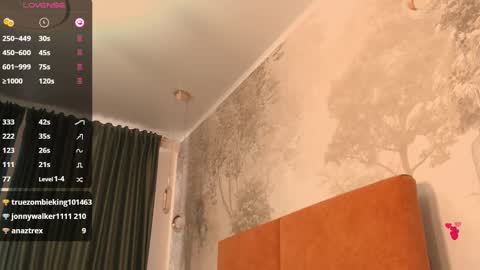 Hiaru online show from January 30, 2025, 8:43 am