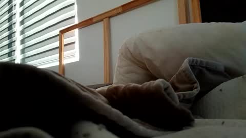 Snapshot of hnkkk88888 chatting on November 6, 2025, 12:17 pm Fucker online show from November 6, 2025, 12:17 pm