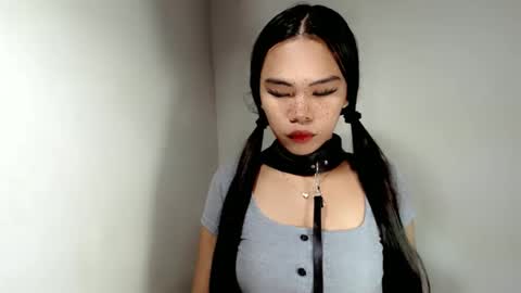 hollyhalo online show from November 24, 2025, 6:46 am