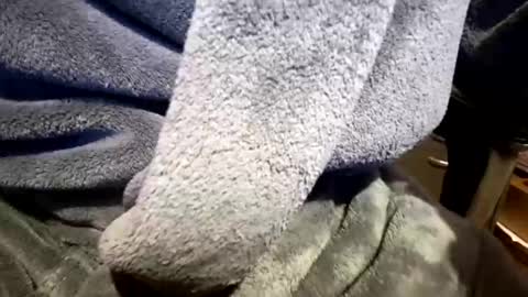 Neal online show from March 23, 2026, 2:21 pm