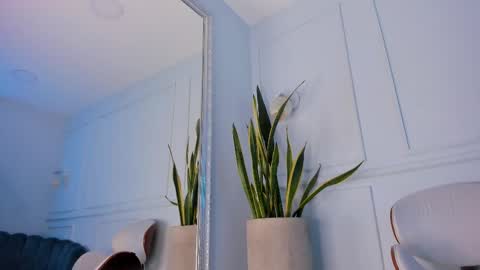 Snapshot of honeyymoonn_ chatting on February 17, 2025, 10:47 pm Honey Moon Help me to reach 100 thumbs up online show from February 17, 2025, 10:47 pm