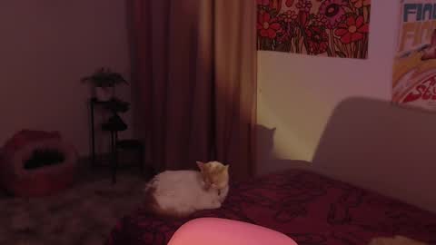 Snapshot of honeyypeaach chatting on December 18, 2024, 11:30 pm    online show from December 18, 2024, 11:30 pm