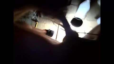 hongdong online show from November 15, 2025, 10:23 am