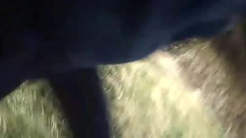 Snapshot of honky220557 chatting on September 13, 2025, 12:10 am Jovante online show from September 13, 2025, 12:10 am