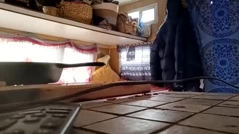 hoodoou online show from December 20, 2025, 7:21 pm