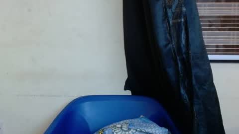 horny4bum online show from March 1, 2025, 7:48 pm