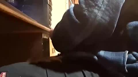 Dominick Subversal online show from November 1, 2025, 5:26 pm