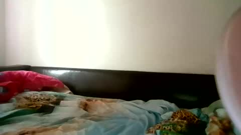 Serena online show from February 17, 2026, 9:17 am