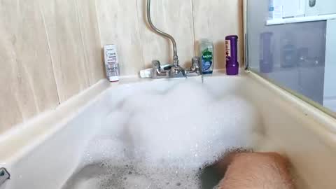 hornybiker1987 online show from November 25, 2025, 12:05 pm