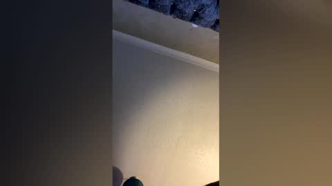 Snapshot of hornycouple2424 chatting on December 4, 2025, 12:25 pm hornycouple2424 online show from December 4, 2025, 12:25 pm