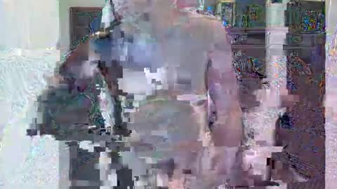 Snapshot of hornygringo123 chatting on November 22, 2025, 3:27 am HornyGringo online show from November 22, 2025, 3:27 am