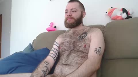 Snapshot of hornyhairy_bi chatting on February 24, 2025, 3:42 pm Harry online show from February 24, 2025, 3:42 pm