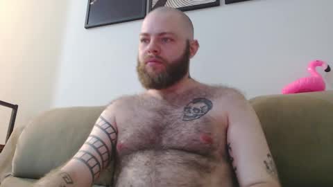 Snapshot of hornyhairy_bi chatting on October 23, 2025, 10:52 pm Harry online show from October 23, 2025, 10:52 pm