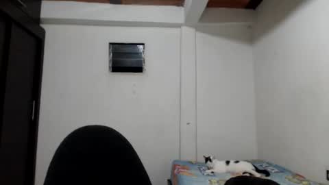 angels online show from November 23, 2025, 5:40 am