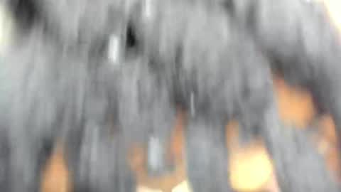 hot_moxie online show from November 15, 2025, 4:43 am