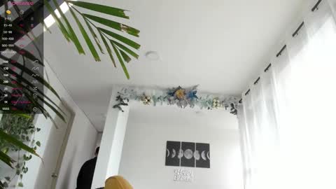 Andrew xdres08 online show from December 31, 2024, 8:34 pm