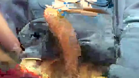 hotdick4200 online show from November 19, 2025, 6:24 am