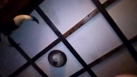 hotloads1992 online show from January 10, 2026, 1:18 am