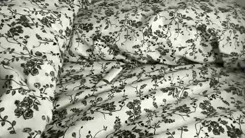 Annabelle online show from April 21, 2026, 10:01 pm