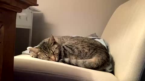 Snapshot of hottiewithabody101 chatting on February 11, 2026, 2:44 pm hottiewithabody101 online show from February 11, 2026, 2:44 pm