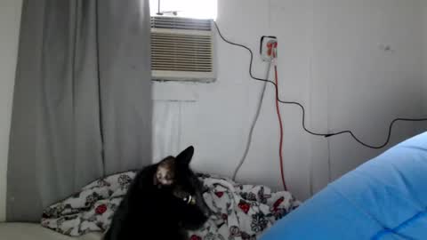 houseflipper online show from August 1, 2026, 12:59 pm