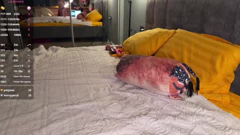 Elizabeth online show from December 23, 2024, 4:33 am