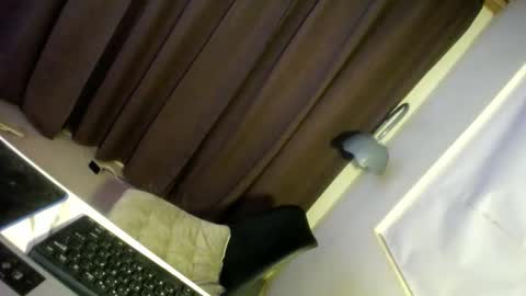 Snapshot of hugcock69_precious chatting on December 29, 2024, 6:56 am Precious online show from December 29, 2024, 6:56 am