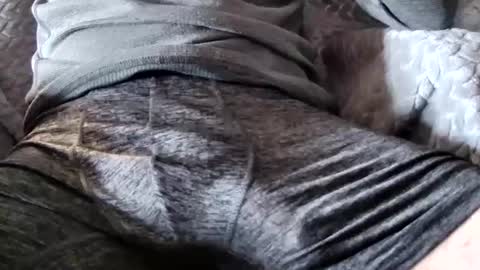 hugepecker131 online show from December 18, 2025, 1:17 pm