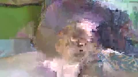 hugo_theboss_ online show from February 8, 2025, 12:06 pm