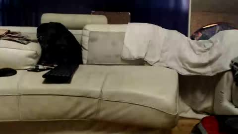 huippari online show from September 29, 2025, 12:32 pm