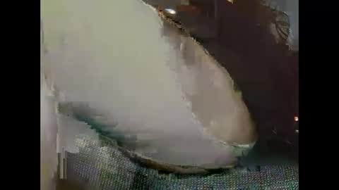 hujiajia520321431 online show from November 19, 2025, 10:59 am